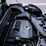 TPE Precision MINI F60 Countryman Cold Airbox Kit